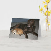 お兄さんのバースデー・カード カード (黄色い花)