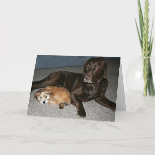 お兄さんのバースデー・カード カード (正面)