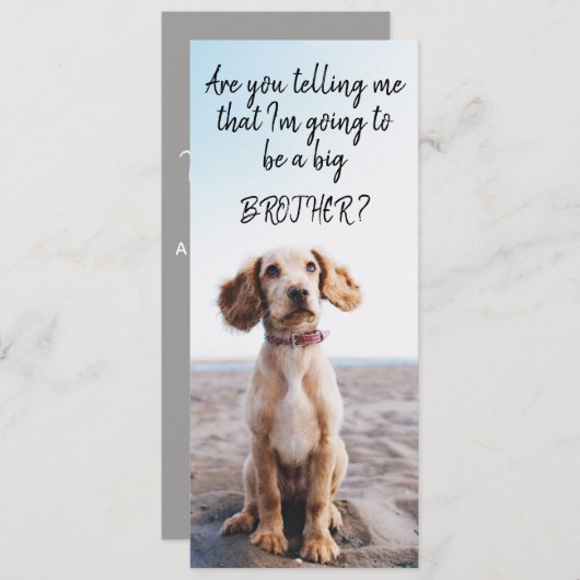 お兄さんまたは姉妹ペット妊娠の発表 案内状 (正面/裏面)