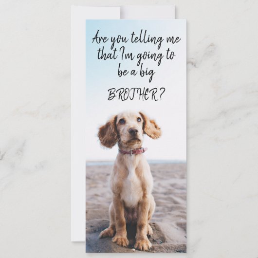 お兄さんまたは姉妹ペット妊娠の発表 案内状 (正面)