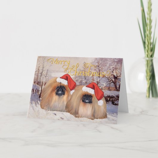 お出かけ シーズンカード (正面)