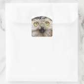 お前か?お前は何者だ? スクエアシール (バッグ)