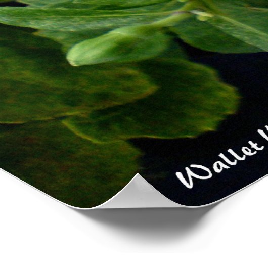 お前が何者だ。 ポスター (角)