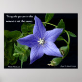 お前が何者だ。 ポスター (正面)