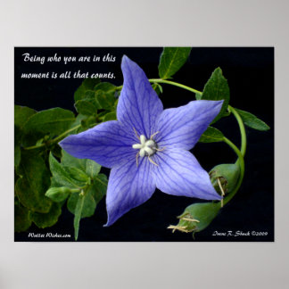 お前が何者だ。 ポスター