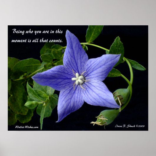 お前が何者だ。 ポスター (正面)