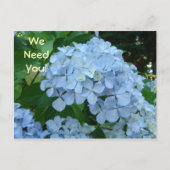 お前が必要だ！今日ははがきを取り込む！学校 ポストカード (正面)