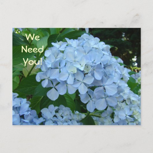 お前が必要だ!今日ははがきを取り込む!学校 ポストカード (正面)