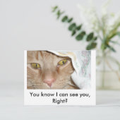 お前が見えないって分かってるだろオレンジ色のタビー猫 ポストカード (スタンド正面)