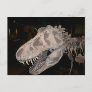 お前が食べ!! ポストカード