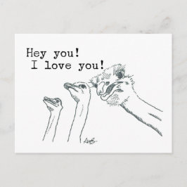 お前だ！愛してる！- Ostrichポストカード ポストカード
