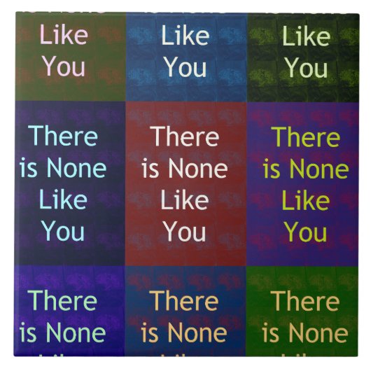 お前には似合わない タイル (正面)