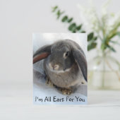 お前には耳が痛い ポストカード (スタンド正面)