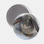 お前には耳が痛い マグネット (正面/裏面)