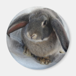 お前には耳が痛い マグネット