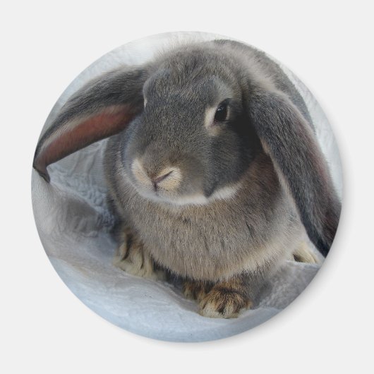 お前には耳が痛い マグネット (正面)