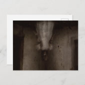 お前に会いに来た ポストカード (正面/裏面)