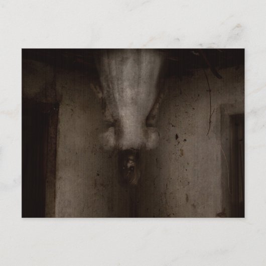 お前に会いに来た ポストカード (正面)