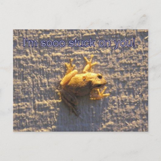 お前に頼る ポストカード (正面)