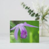 お前のための精巣だ！ ポストカード (スタンド正面)