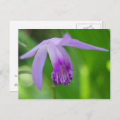 お前のための精巣だ！ ポストカード (正面/裏面)