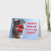 お前ののまわりに誕生日にホーシン カード (正面)