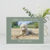 お前のカードを持たないで恋しく思の混乱 カード (スタンド正面)