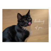 お前のカード考えるを舐めろ (正面横)