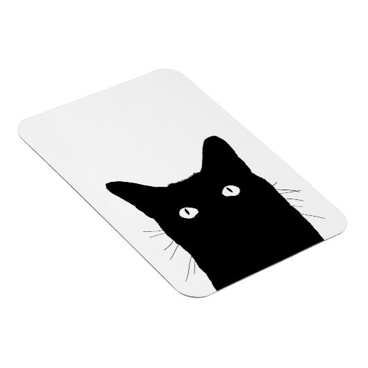 お前のデコクリックアを選ぶのが猫カラフルだ マグネット (右側)