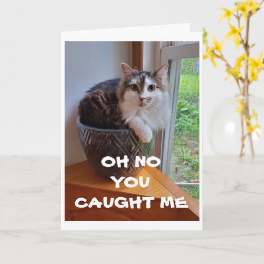 ***お前のハッピーバースデーに捕らえられた*** カード (黄色い花)