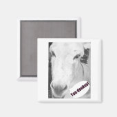 お前のロバ マグネット (正面/裏面)