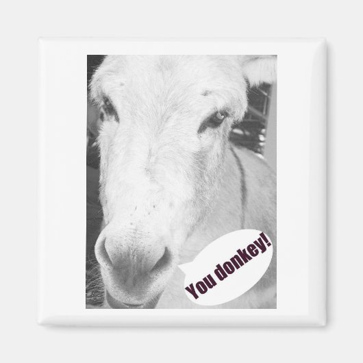 お前のロバ マグネット (正面)