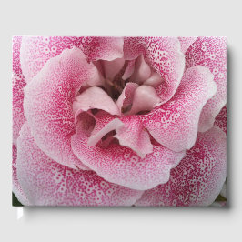 お前の事 ゲストブック