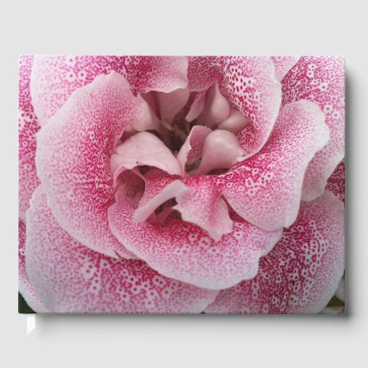 お前の事 ゲストブック (正面)