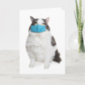 お前の恋しく思顔の太った猫が顔マスクで見える シーズンカード (正面)