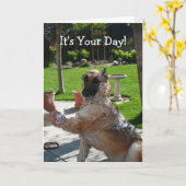 お前の日ドイツの羊飼い誕生日カード カード (黄色い花)