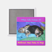 お前の来人生の懸命... マグネット (正面/裏面)