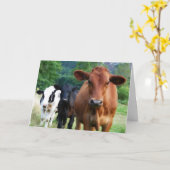 お前の病気感じは治らぬ カード (黄色い花)