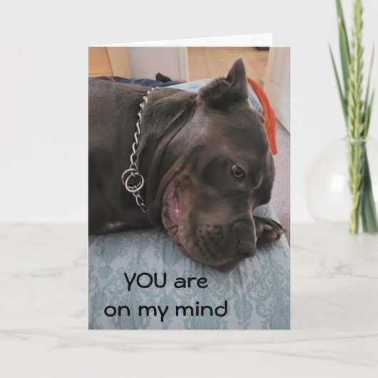 お前の考える物は寝過恋しく思ぎだ カード (正面)