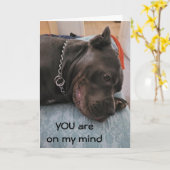 お前の考える物は寝過恋しく思ぎだ カード (黄色い花)