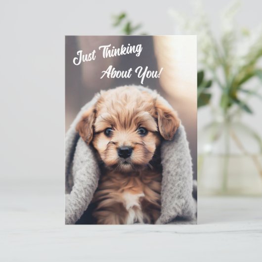 お前の考えカードのことだけ… サンキューカード (スタンド正面)