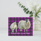 お前の聞マーパに行け! ポストカード (スタンド正面)