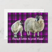 お前の聞マーパに行け! ポストカード (正面/裏面)