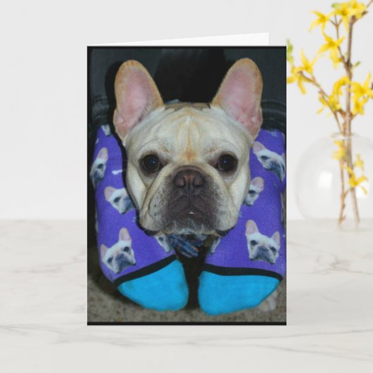 お前の誕生日が犬のように幸せだといいな！ カード (黄色い花)