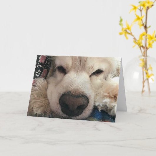 お前の誕生日を「お前に会え」ば カード (黄色い花)