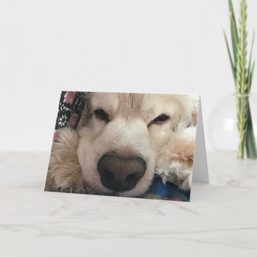 お前の誕生日を「お前に会え」ば カード (正面)