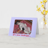 お前の誕生日… カード (黄色い花)