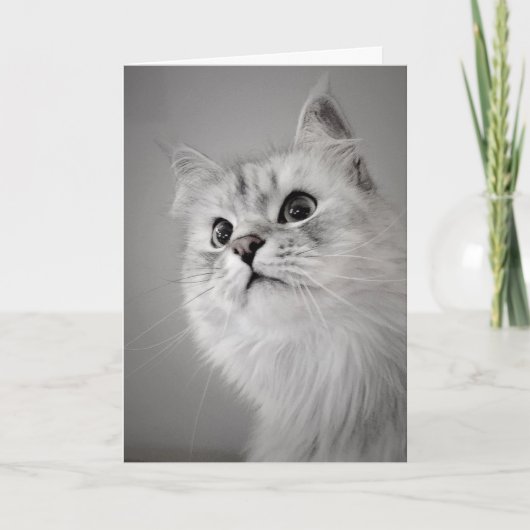 お前の誕生日!(カード) カード (正面)