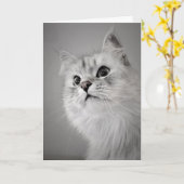 お前の誕生日!(カード) カード (黄色い花)