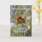 **お前の誕生日**「孫娘」 カード (黄色い花)